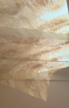Foto des Projekts 'Looking for Evidence of the Virtual in a World that is Disappointingly Literal'
