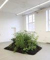 Foto des Projekts 'Tanz in den Mai'