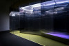 Foto des Projekts 'BLUR'