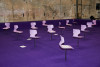Foto des Projekts 'Burning Issues'