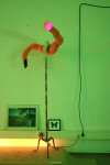 Foto des Projekts 'The Comfort Room'