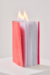 Foto des Projekts 'Eternal Flame'