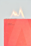 Foto des Projekts 'Eternal Flame'
