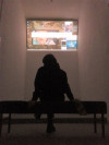 Foto des Projekts 'Die Humanistin'