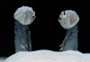 Foto des Projekts 'Studienprojekt III – Das Huhn tanzt noch immer. Sarah Kane'